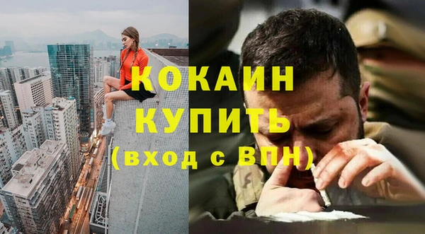 ешки Алексин