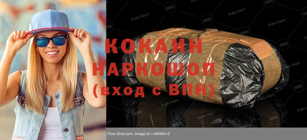 ешки Алексин